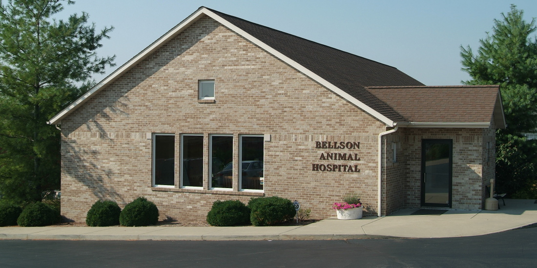 Bellson Animal Hospital - Columbia , United States