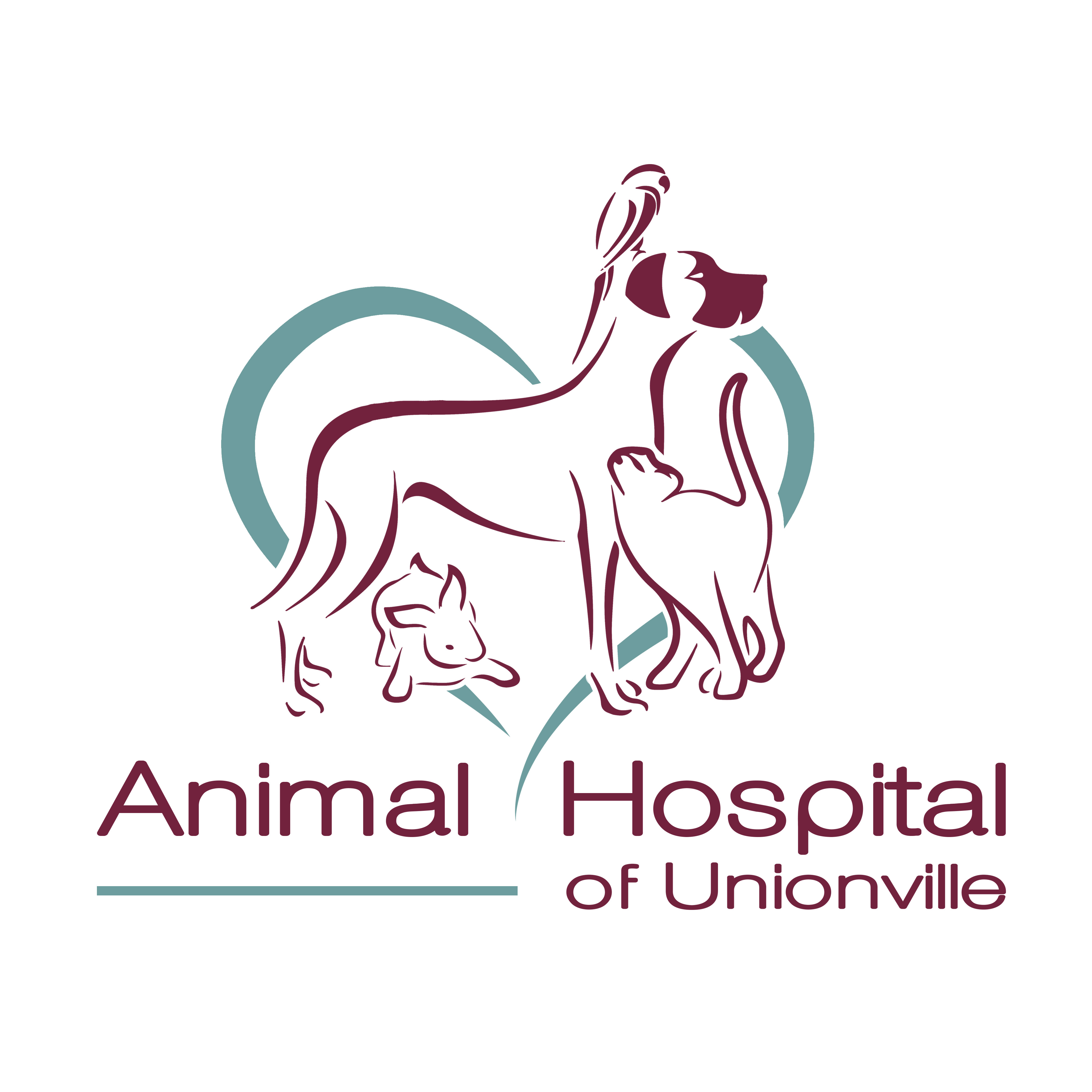 Animal Hospital Of Unionville - Unionville , Canada