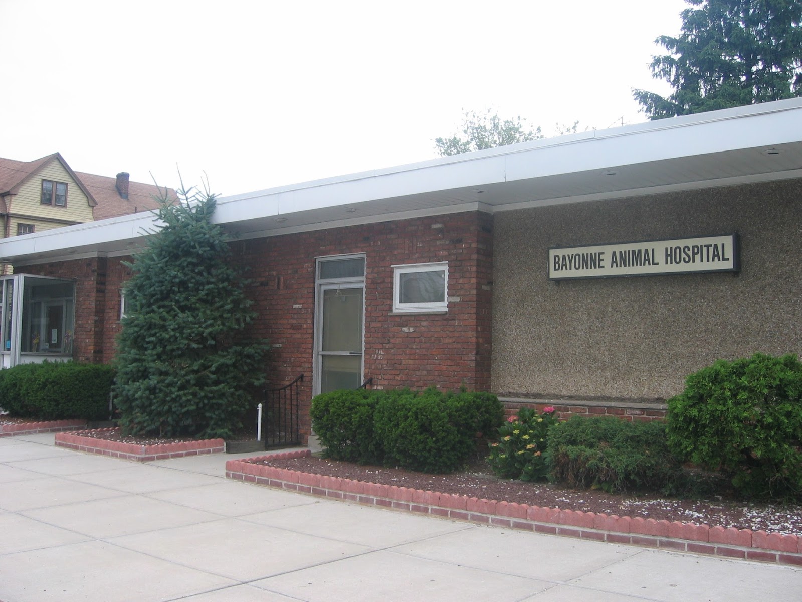 Bayonne Animal Hospital - Bayonne , United States