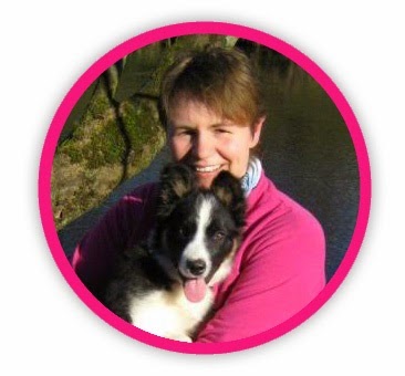 Vets For Pets Colne - Colne , United Kingdom