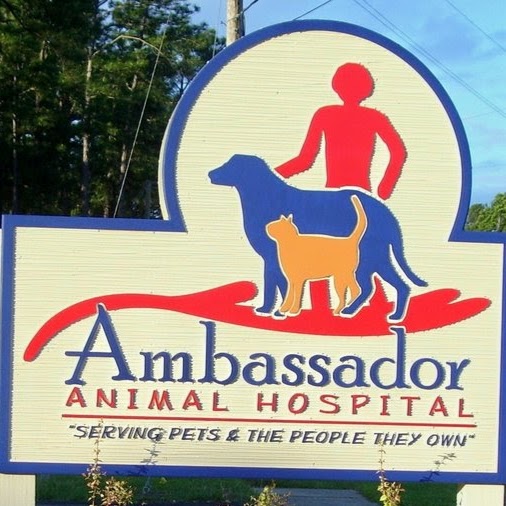 Ambassador Animal Hospital - Fayetteville , United States