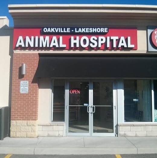 Oakville Lakeshore Animal Hospital - Oakville , Canada