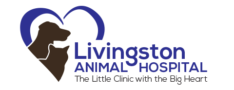 Livingston Animal Hospital - Grimsby , Canada