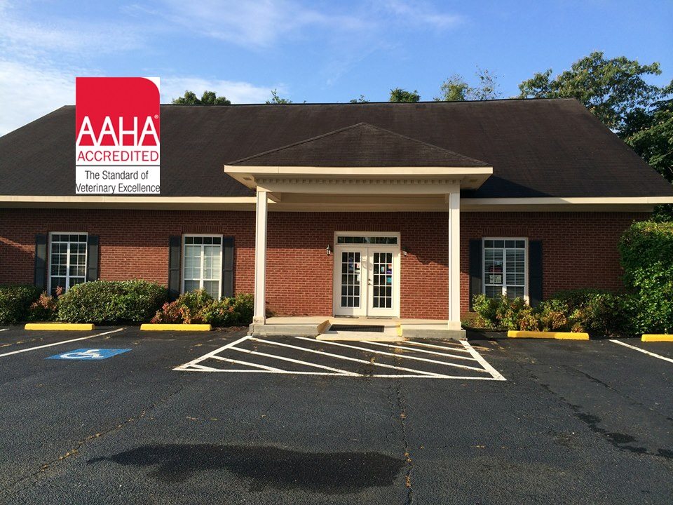 Houston Veterinary Clinic Pc - Warner Robins , United States