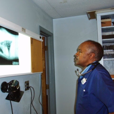 Mercury Animal Hospital - Hampton , United States