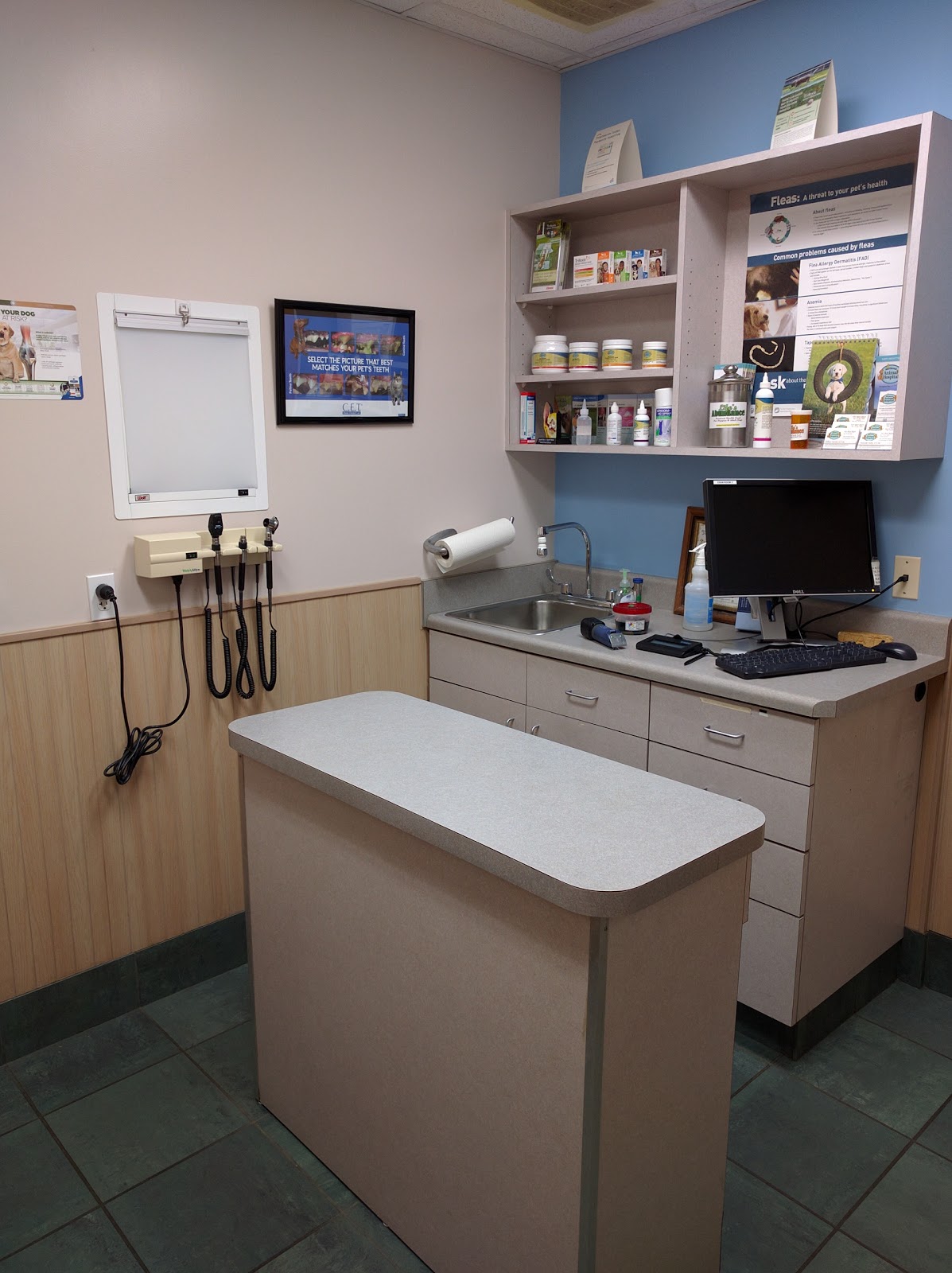 Northeast Animal Hospital - St. Petersburg , United States