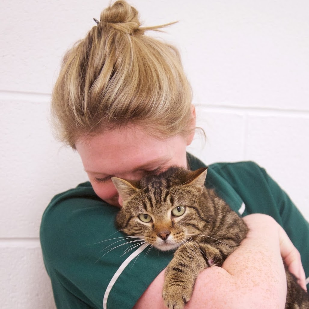 Hay Veterinary Group - Hereford , United Kingdom