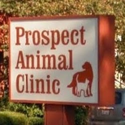 Prospect Animal Clinic - Peoria Heights , United States