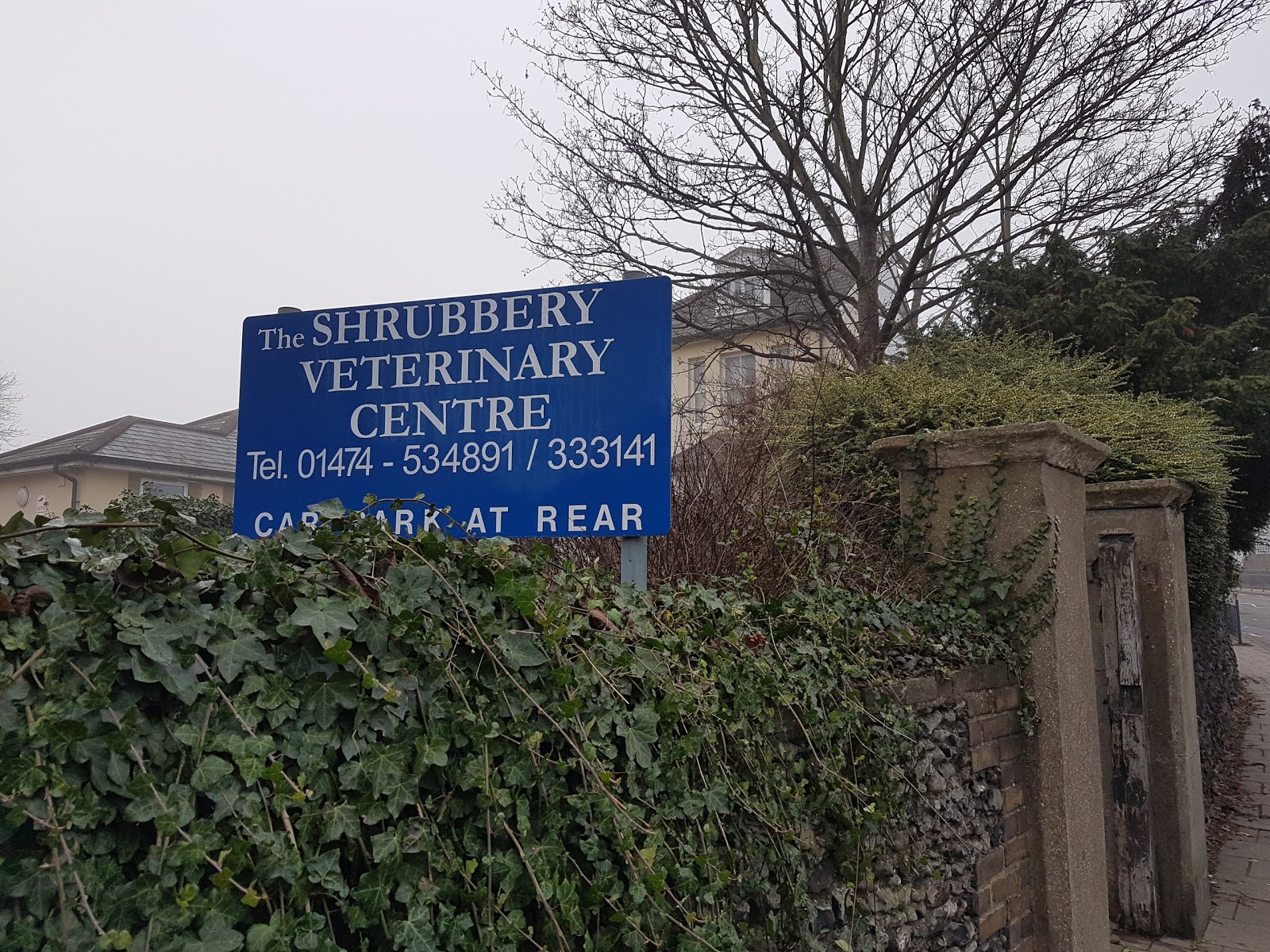 The Shrubbery Veterinary Group - Gravesend , United Kingdom