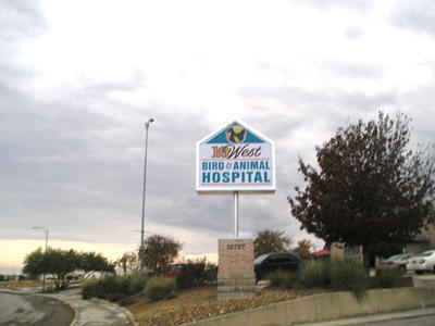 Business's Photo