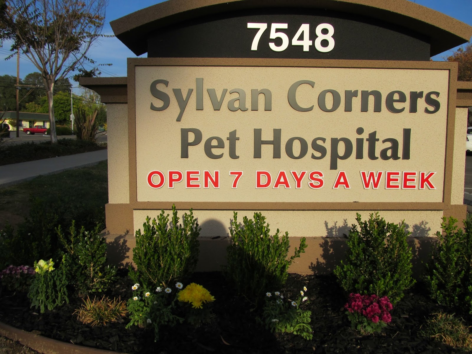 Sylvan Corners Pet Hospital - Citrus Heights , United States