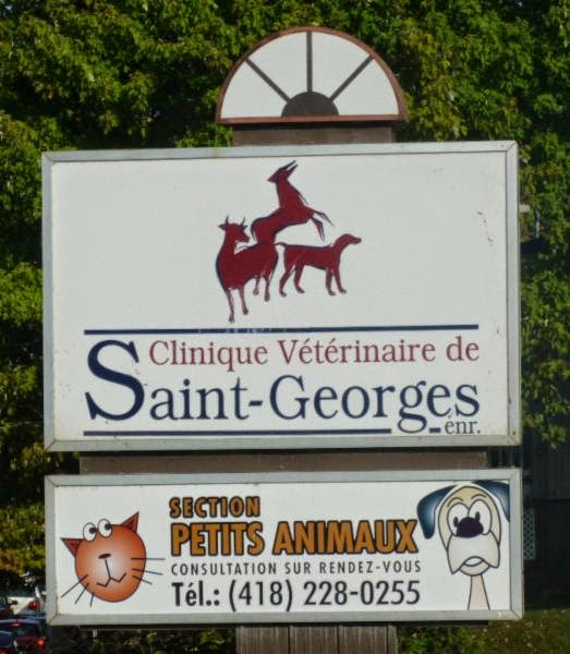 Clinique Vétérinaire De St Georges Section Petits Animaux - Saint-Georges , Canada