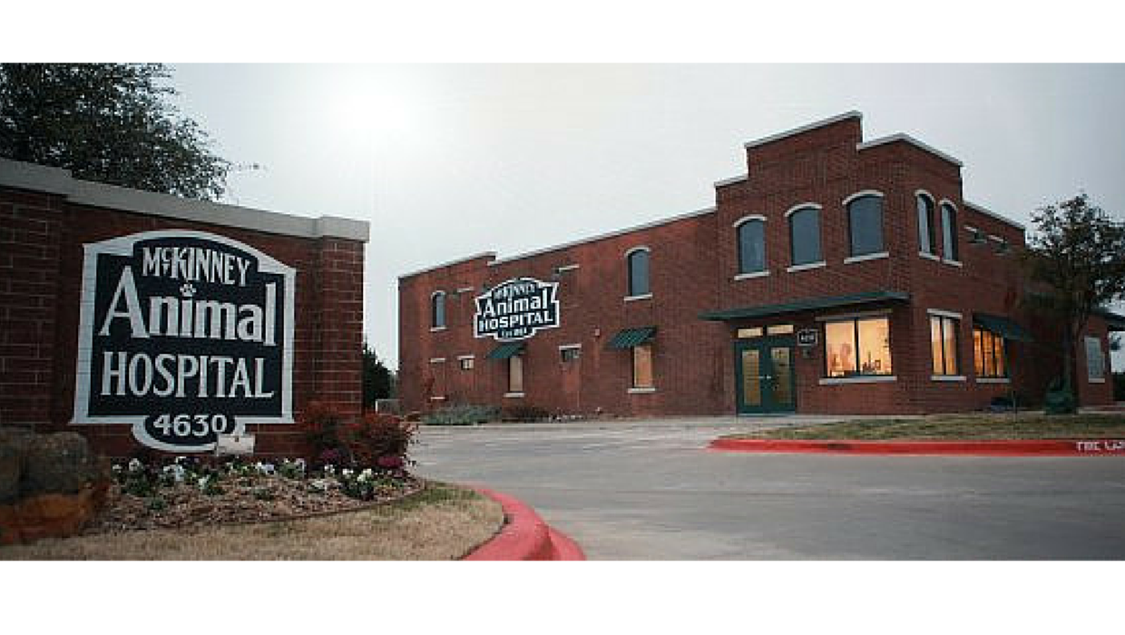 Mckinney Animal Hospital - McKinney , United States