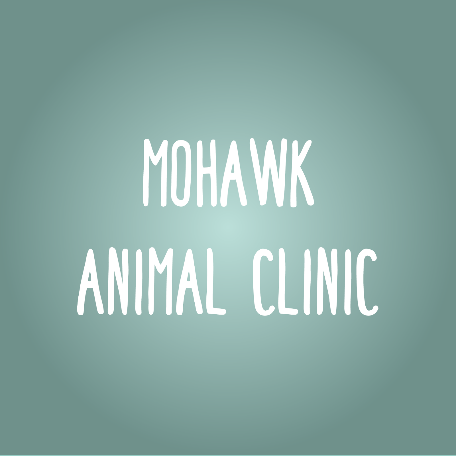 Mohawk Animal Clinic - Melfort , Canada