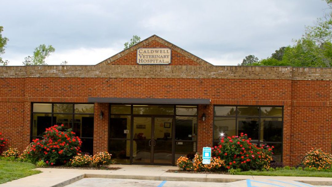 Caldwell Veterinary Hospital - Forsyth , United States