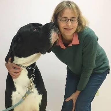 Animal Eye Care Of New England - South Deerfield , United States