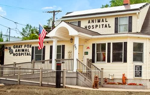 Gray Fox Animal Hospital - Woodbury Heights , United States