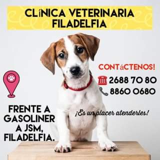Veterinaria Filadelfia - Gomez Palacio , Costa Rica