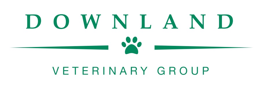 Downland Veterinary Group - Chichester , United Kingdom