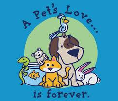 Eastwood Hills Animal Hospital - Kansas City , United States