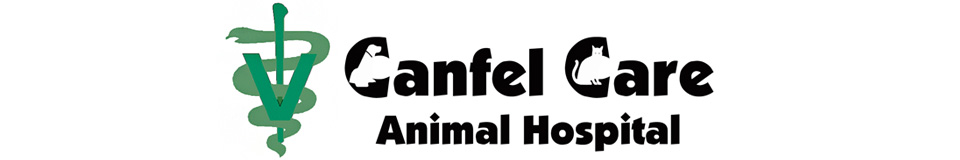 Canfel Care Animal Hospital - Houston , United States