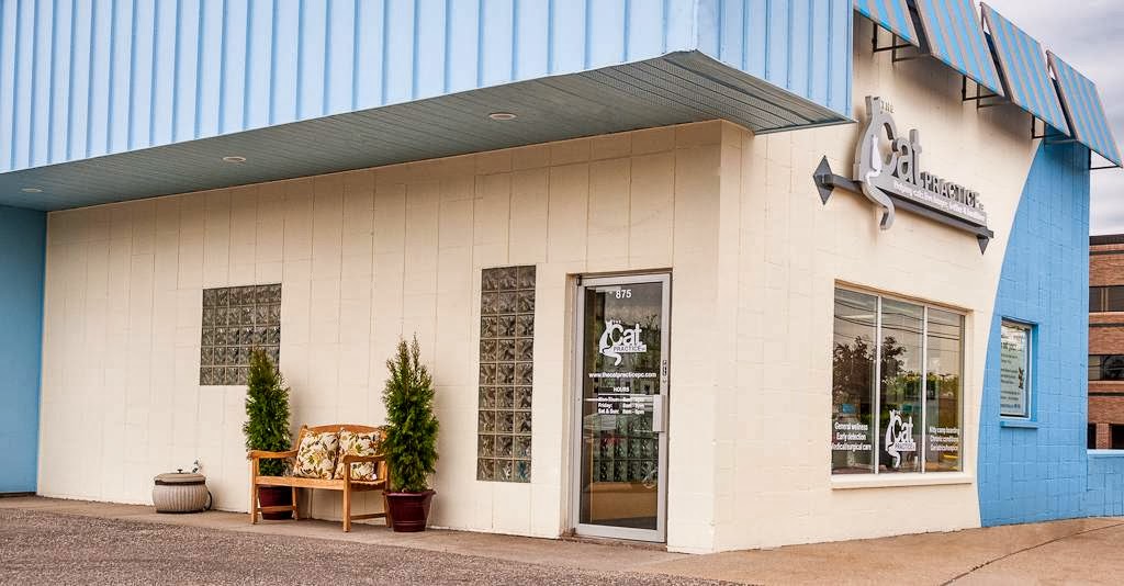 The Cat Practice Pc - Birmingham , United States