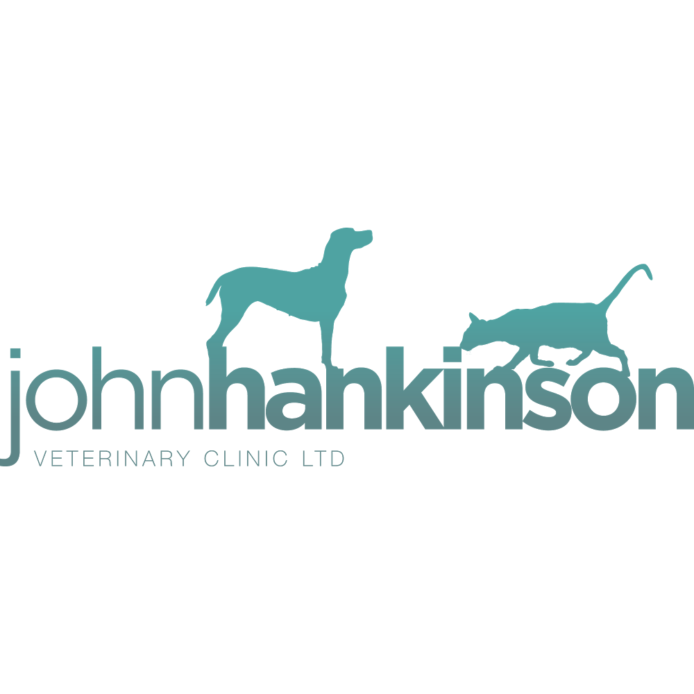 Medivet New Cross - London , United Kingdom