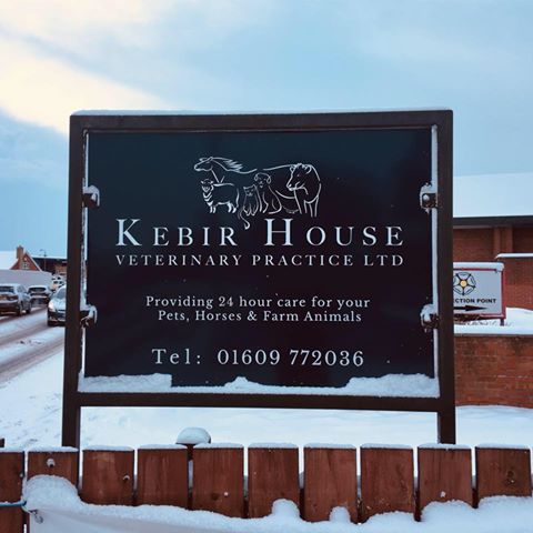 Medivet Northallerton East Rd - Northallerton , United Kingdom