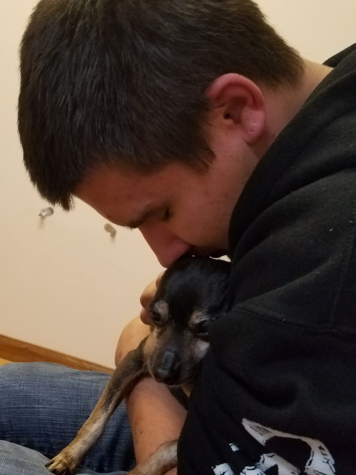 Ham Lake Vet Hospital Pllc - Ham Lake , United States