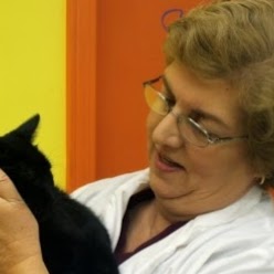 Clearview Veterinary Hospital - Metairie , United States