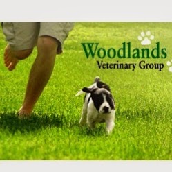 Woodlands Veterinary Group Plymouth - Plymouth , United Kingdom