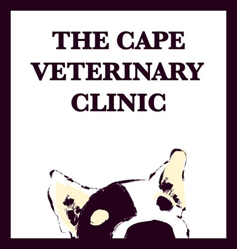 The Cape Veterinary Clinic - Guildford , United Kingdom