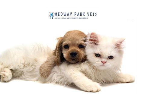 Medway Park Veterinary Centre - Gillingham , United Kingdom