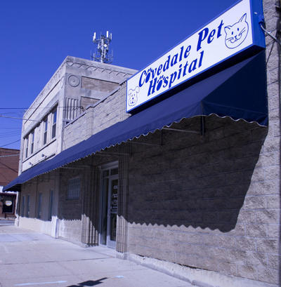 Business's Photo
