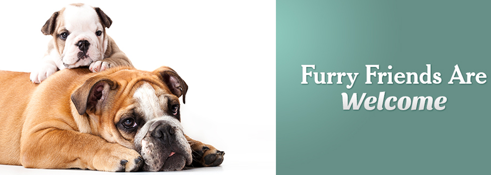 Essington Road Animal Hospital - Joliet , United States