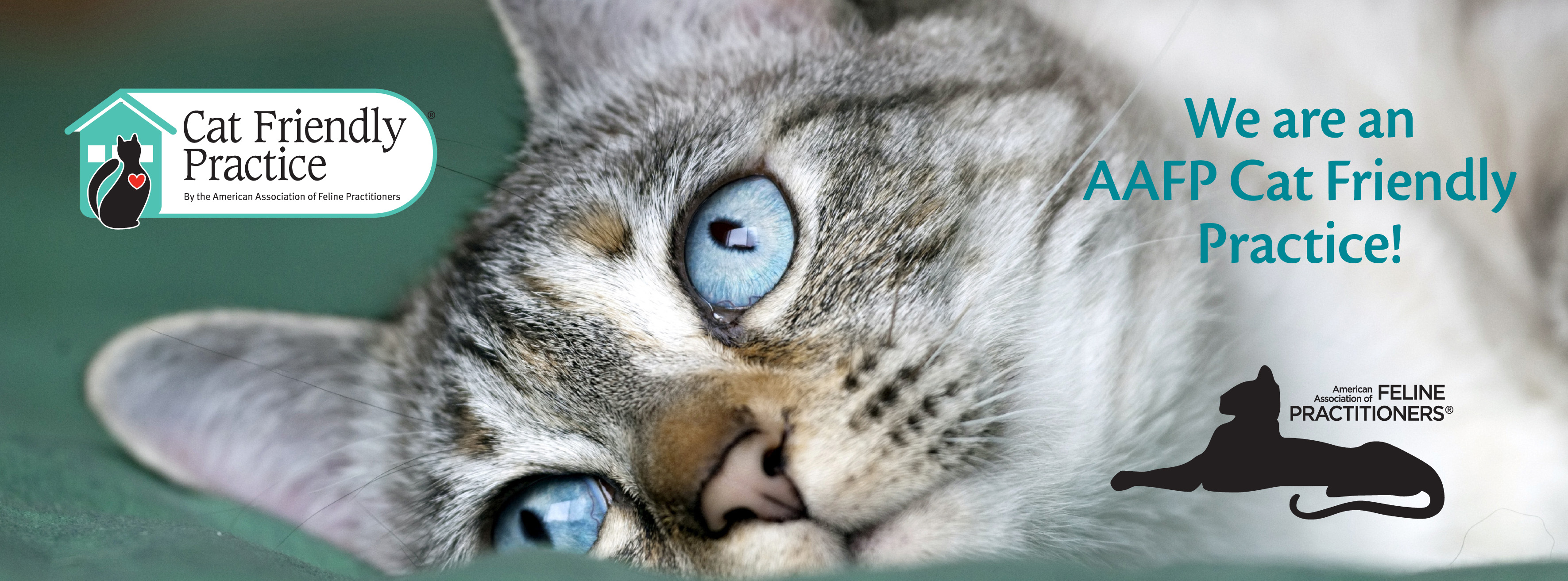 Sherbrooke Heights Animal Hospital - Peterborough , Canada