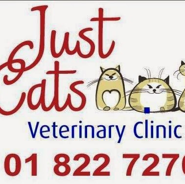 Just Cats @ Village Vets Clonsilla - Clonsilla , Ireland