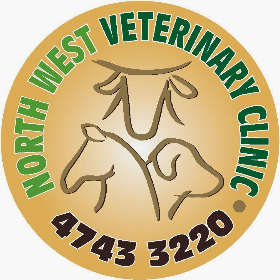 Aaa Vet Clinic - Townview , Australia