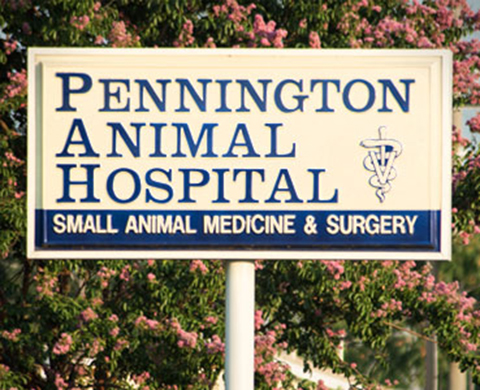 Midtown Veterinary Practice - Huntsville , United States