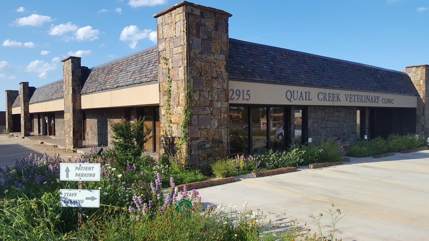 Animal Eye Clinic of OKC - Oklahoma City , United States