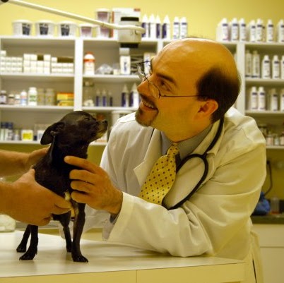 Cross Creek Animal Medical Centre - Tampa , United States