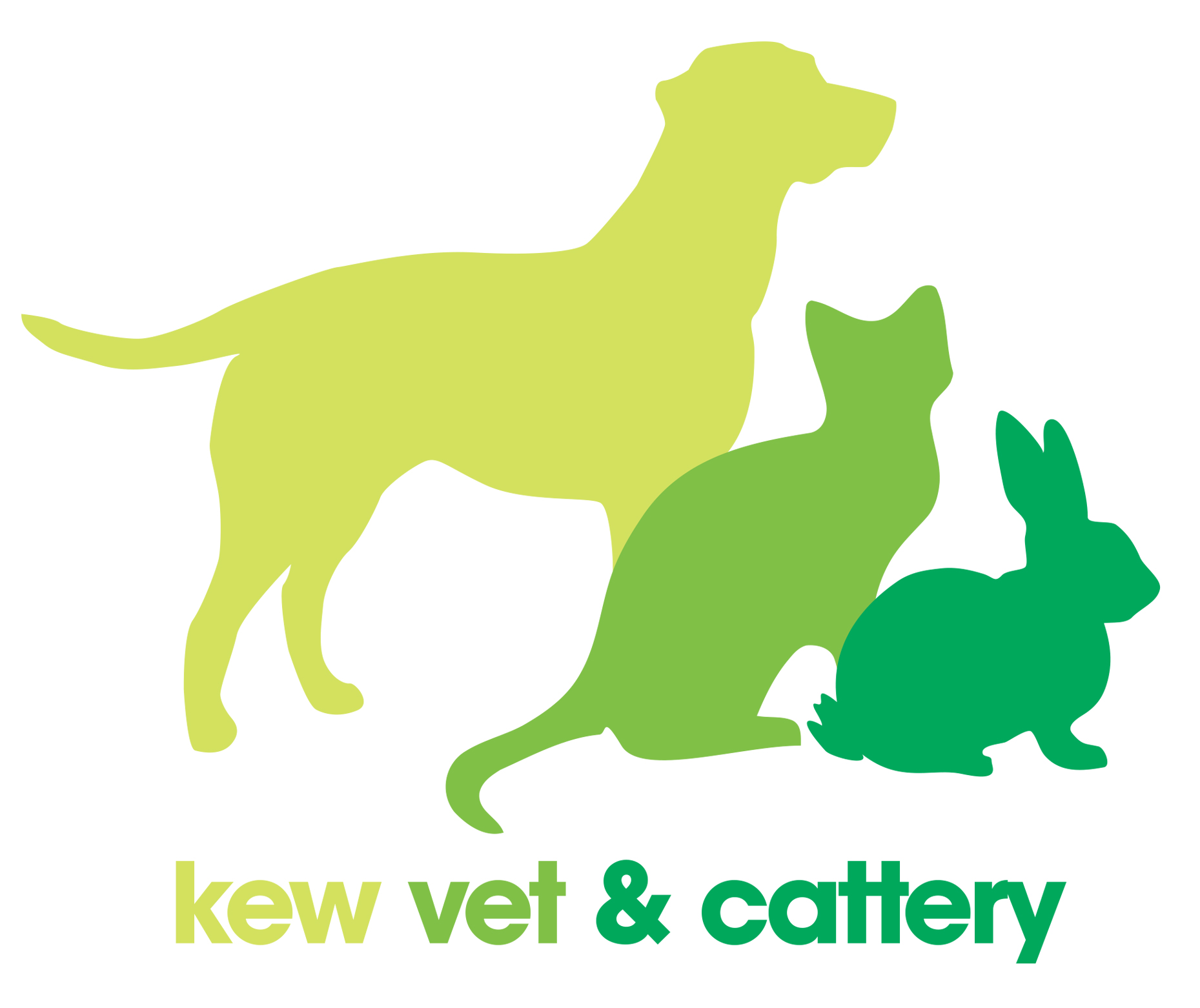 Kew Vet And Cattery - Kew , Australia