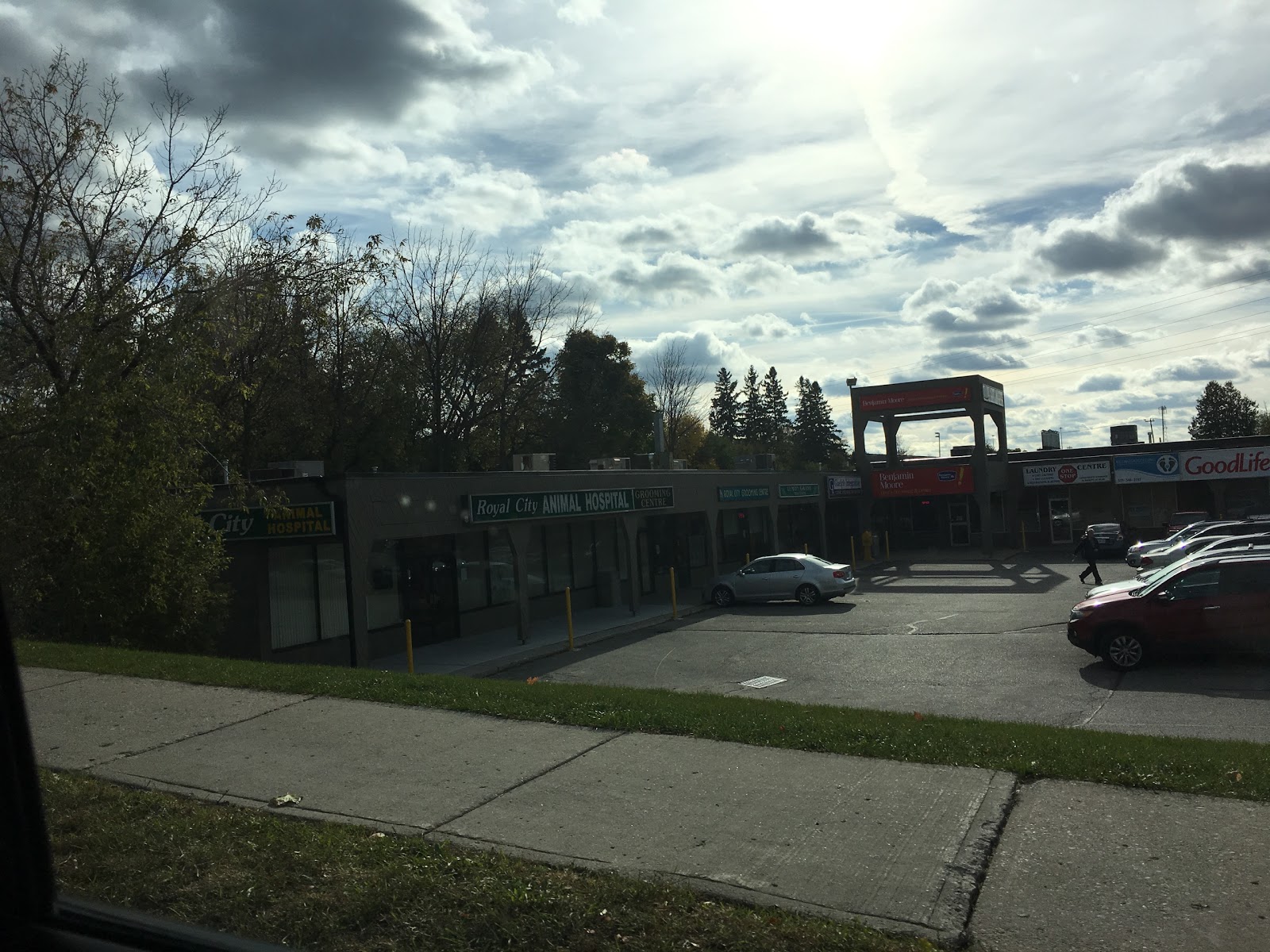 Royal City Animal Hospital - Guelph , Canada