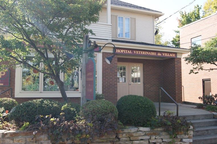 Hôpital Vétérinaire Du Village - Pointe-Claire , Canada