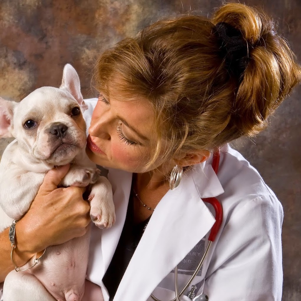 S And S Family Pet Hospital - San Antonio , United States