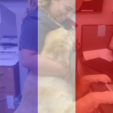 Bridgeville Animal Hospital - Bridgeville , United States