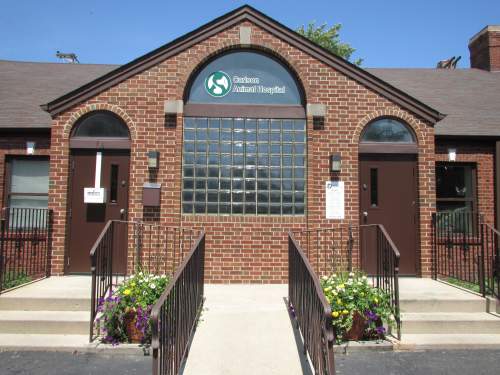 Carlson Animal Hospital A Thrive Pet Healthcare Partner - Oak Park , United States