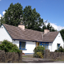 Ennis Veterinary Surgery - Ennis , Ireland