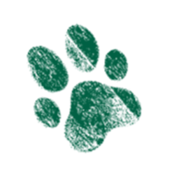 High Desert Animal Care Hospital - Palmdale , United States