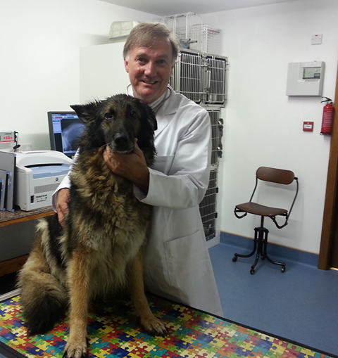 Highfield Veterinary Navan - Navan , Ireland